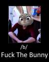 145343543.png