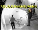 1331402337423.gif