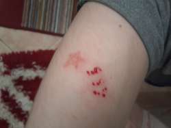 20160318_160826.jpg