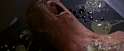 the-thing.gif