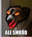 ewdwrwe.png
