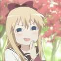 smugbloli.gif