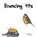 Bouncing tits.jpg