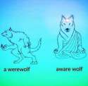 which one are you.jpg