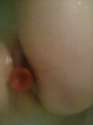 Foto0911.jpg