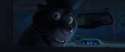 Manchas.png