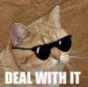 orangecat02.jpg