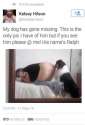 Have+you+seen+ralph_367b16_5327533.jpg