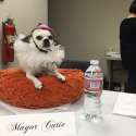 teh mayor.jpg
