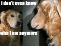 idontevenknowwhoiamanymore.jpg