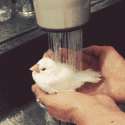 1457981274585.gif