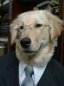 dogbusinessman.jpg