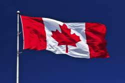 vanessas-law-canada.jpg