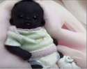 i_is_blackest_nigglet.png