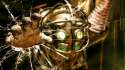 bioshock-game-wallpaper-1920x1080-2293.jpg