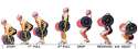 Weightlifting_Clean_Sequence.jpg