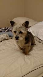 IMG_20160318_203746996.jpg