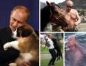 putinin.jpg