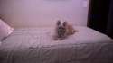 WP_20160130_18_20_42_Pro.jpg