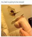 FB_IMG_1455699630135.jpg