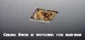 ceiling_ewok.jpg