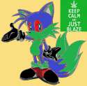 steven_the_hedgehog_by_potatoskin97-d76c04k.jpg