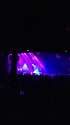IMAG0143.jpg