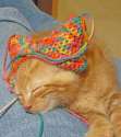 Mittens_for_Kittens_by_Daisy_May.jpg