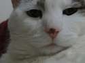 DSC08716.jpg