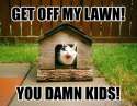 cat lawn damn kids.jpg