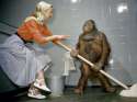 orangutan-london-zoo_3666_990x742.jpg