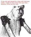 180px-Chainsaw_Bear.jpg