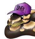 top snek.jpg
