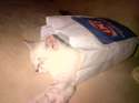 IMG-20140817-00270.jpg