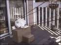 squirrel launcher.gif