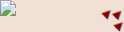 broken_image.png