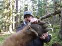 Biggest Grizzly Bears 4.jpg