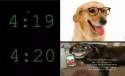 420 dogger.png