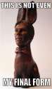 cumberbunnyform.jpg