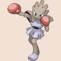 250px-107Hitmonchan.png