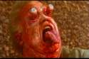 Total Recall.jpg