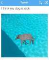 1458440683562.png