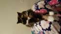 20160221_000309.jpg
