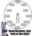 d2a.jpg