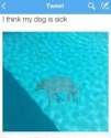 Untitled.jpg