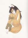 1331081162.whitearabmare_was_pp1.jpg