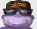 1.1bonzi.png
