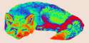 ae50fe7d-c919-4a32-b5af-46e1a4042a67.gif