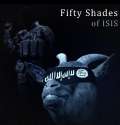 50 shades.jpg