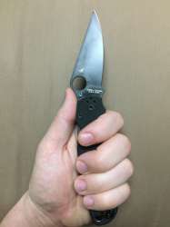 PM2 hand.jpg